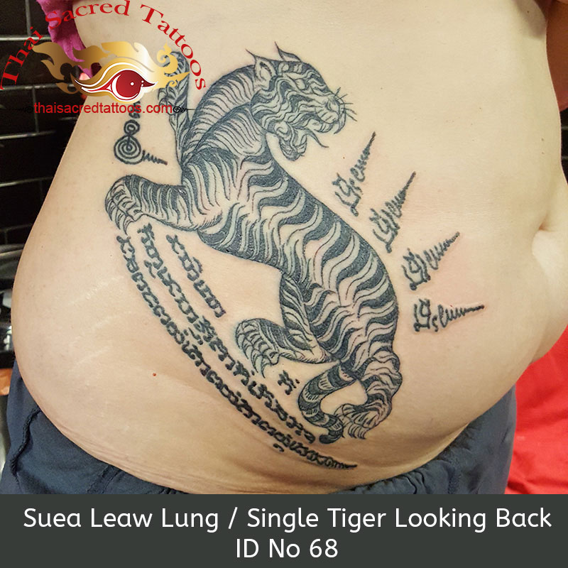 Suea Leaw Lung Single Tiger Looking Back