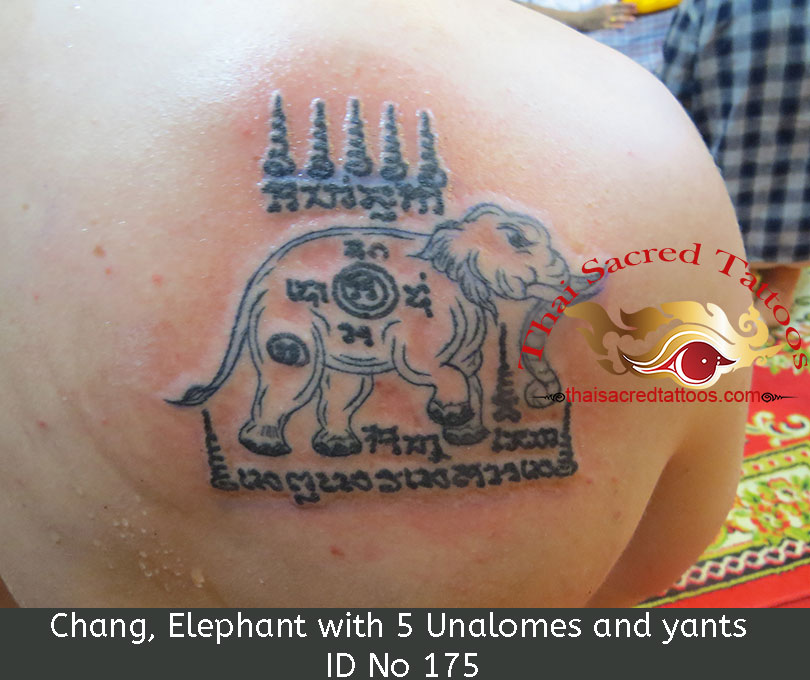 Thai Tattoo Chang, Elephant with 5 Unalomes and Yants