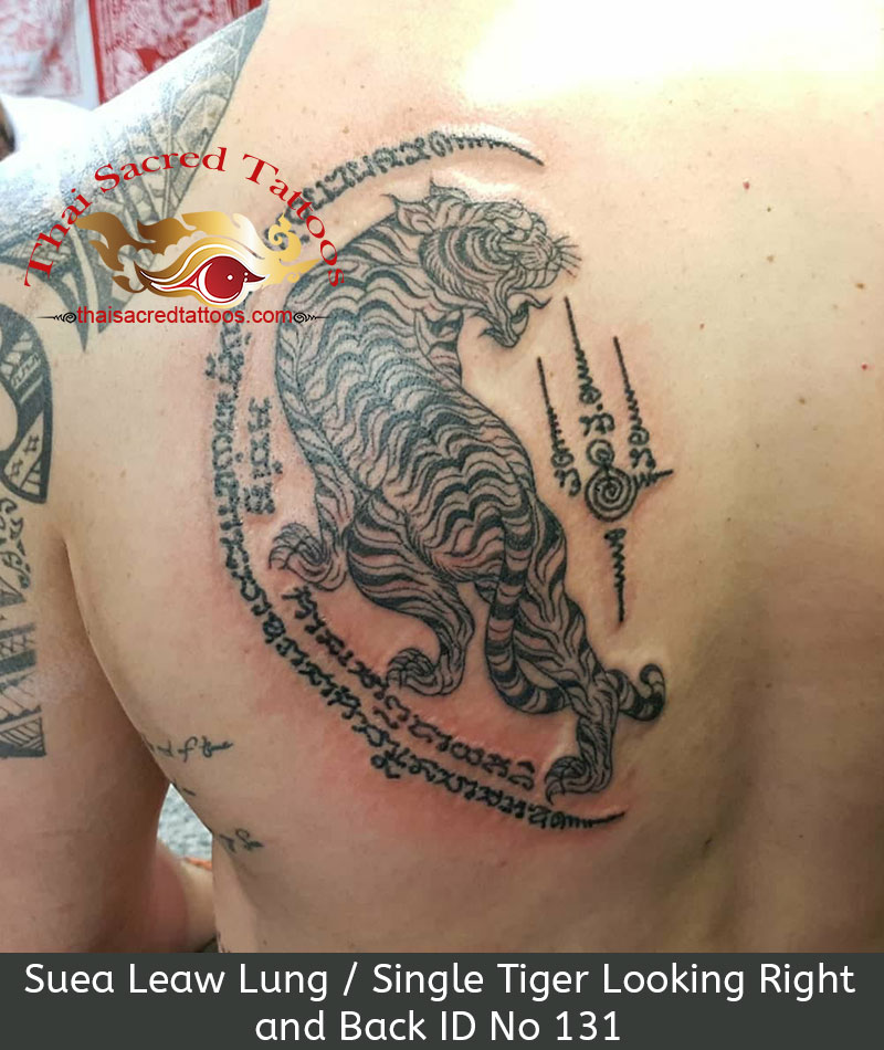 Thai Tattoo Single Tiger. Suea Leaw Lung Looking Back and Facing Right