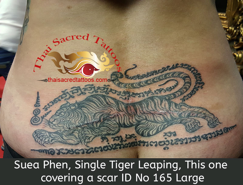 Thai Tattoo Suea Phen, Single Tiger Leaping, Large